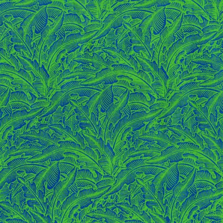 PN450-5 BleuVert