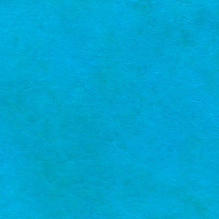 P1B-BL2 bleu turquoise