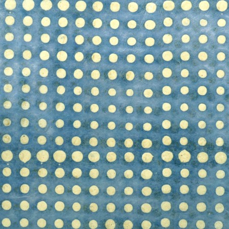PN487-13 Pois Bleu