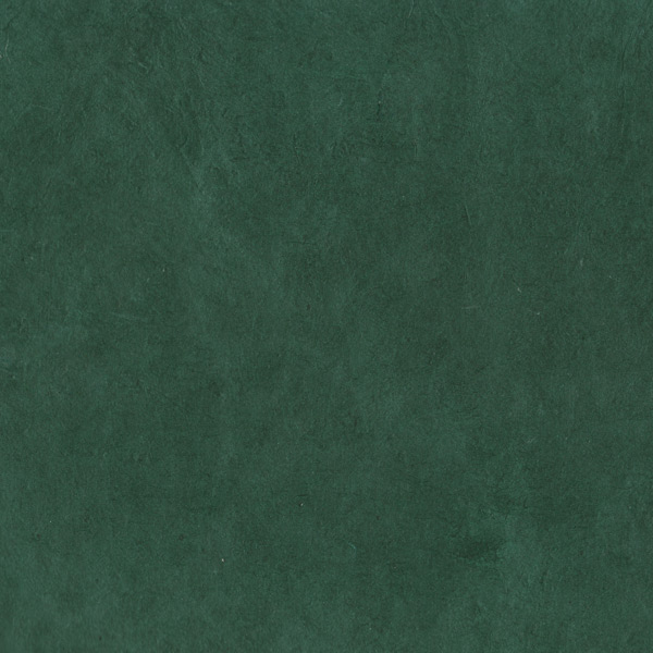 P1B-FG1 vert sapin