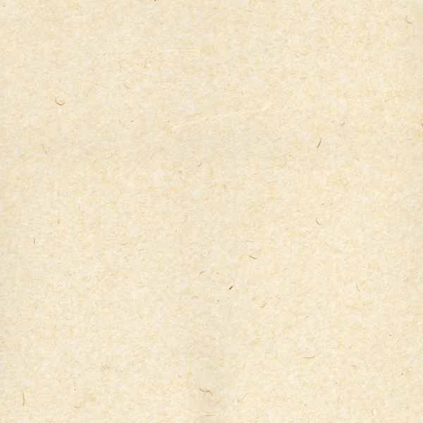 PTH05-Naturel