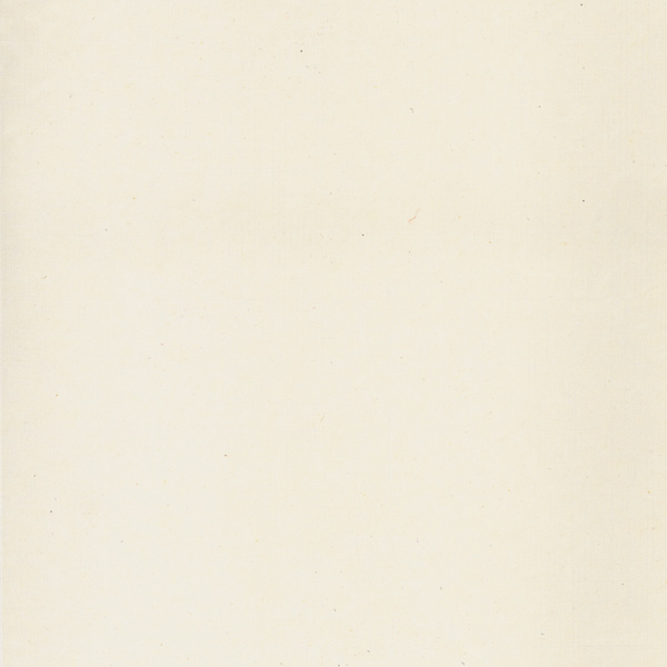 PTH10-Naturel - Papier...