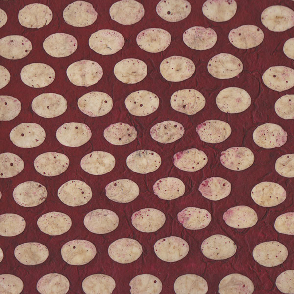 PN385-2 Framboise